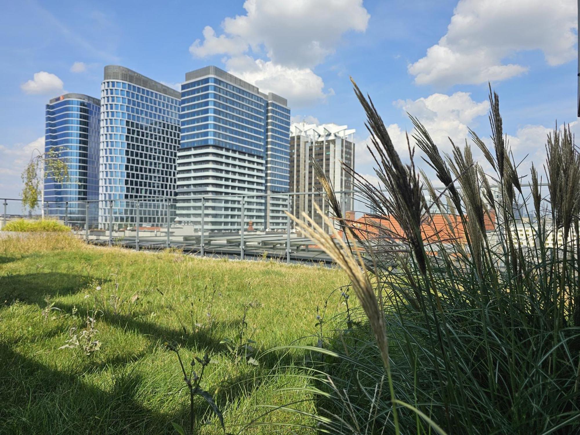 Urban Apartments Premium, Opolska 10 No 36, Free Garage, Self Check-In Katowice Exterior foto